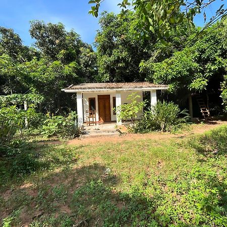 Art Forest Pondicherry Ngoại thất bức ảnh