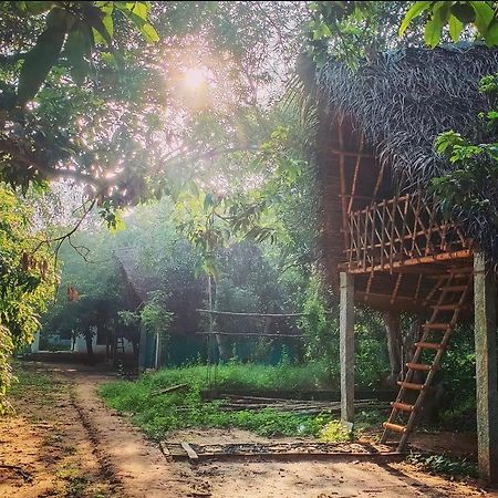 Art Forest Pondicherry Ngoại thất bức ảnh
