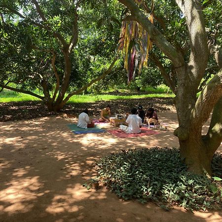 Art Forest Pondicherry Ngoại thất bức ảnh