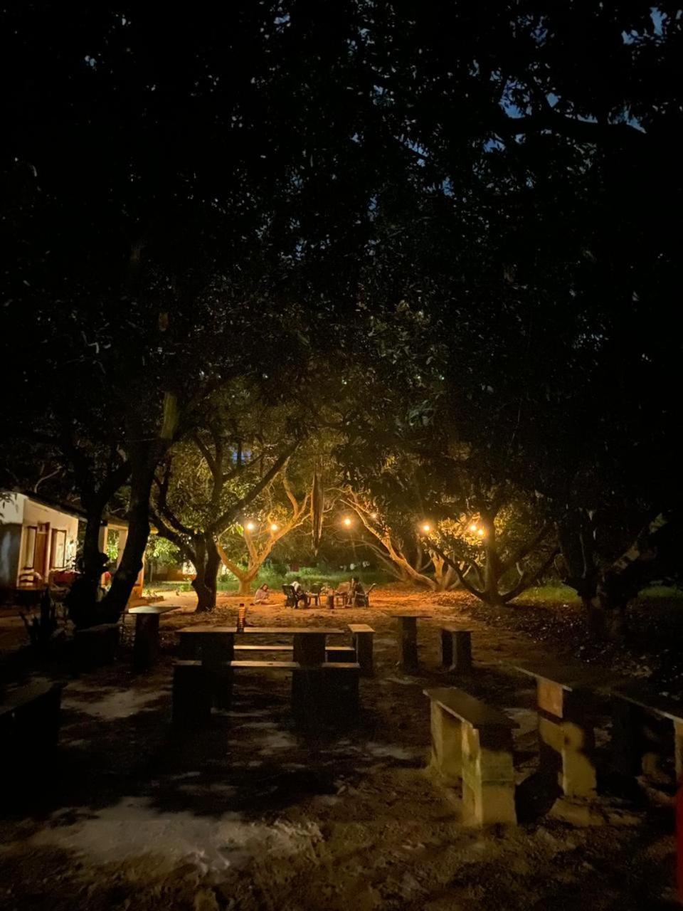 Art Forest Pondicherry Ngoại thất bức ảnh
