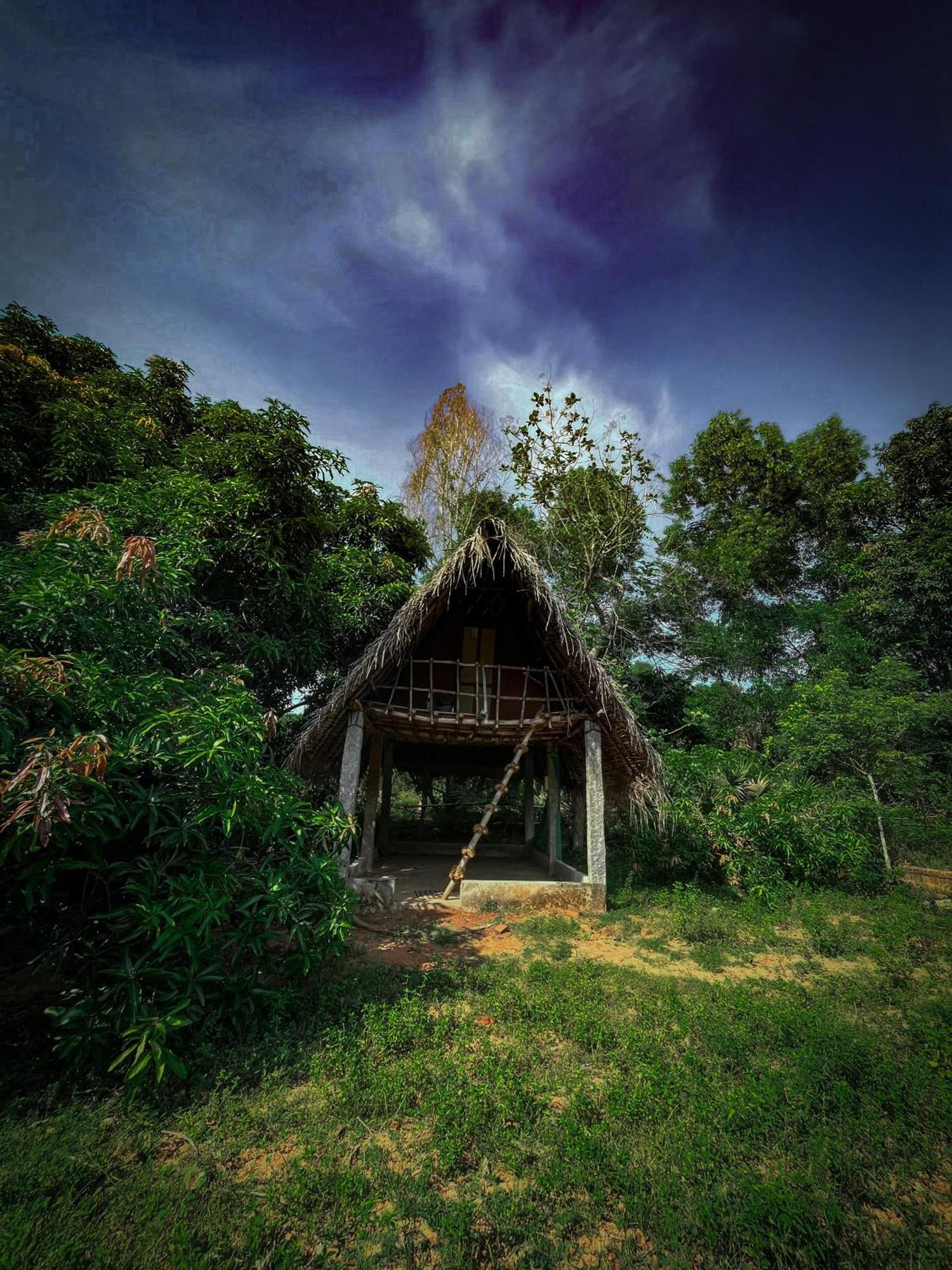 Art Forest Pondicherry Ngoại thất bức ảnh