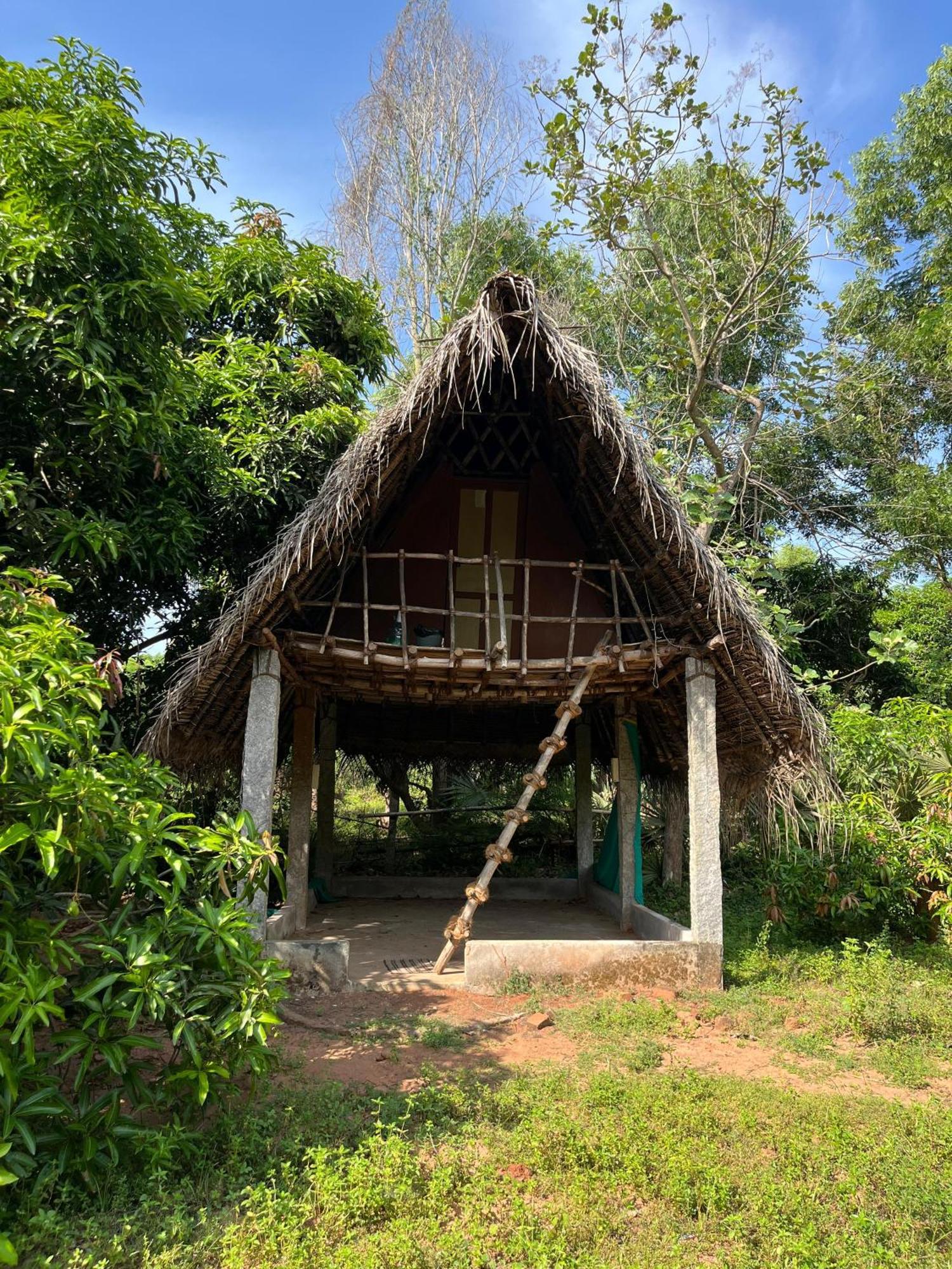 Art Forest Pondicherry Ngoại thất bức ảnh