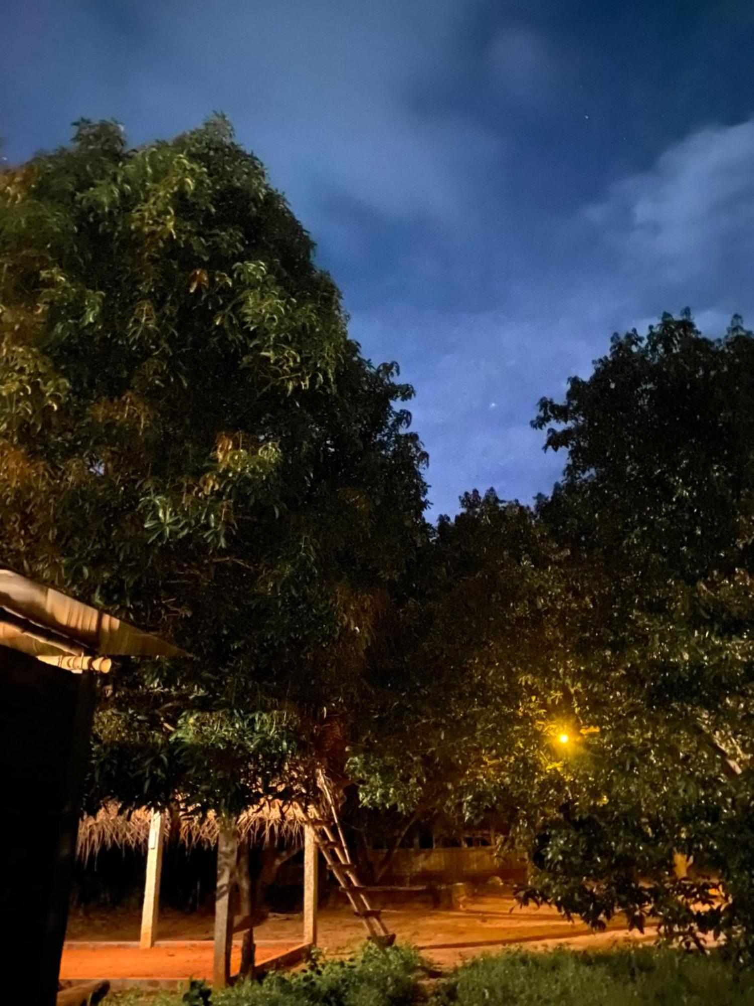 Art Forest Pondicherry Ngoại thất bức ảnh