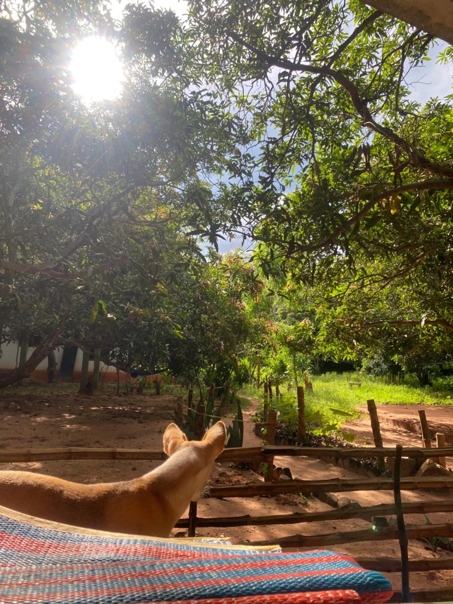Art Forest Pondicherry Ngoại thất bức ảnh